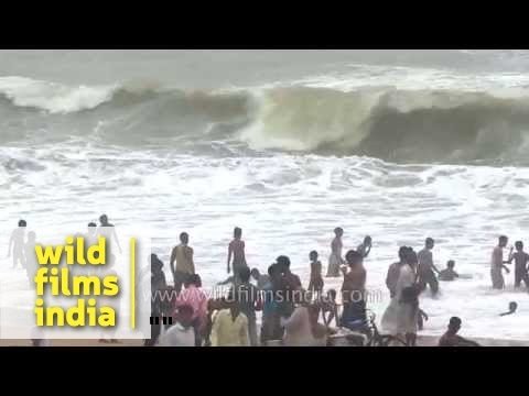 🏖️ 미하라시 스나미 해변 공원